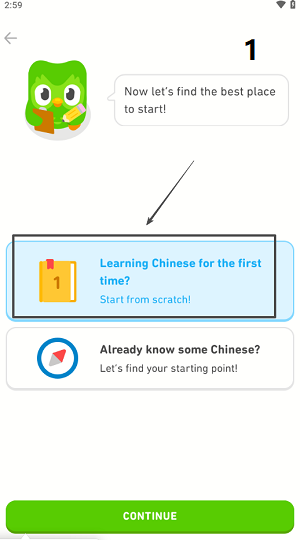 choose language