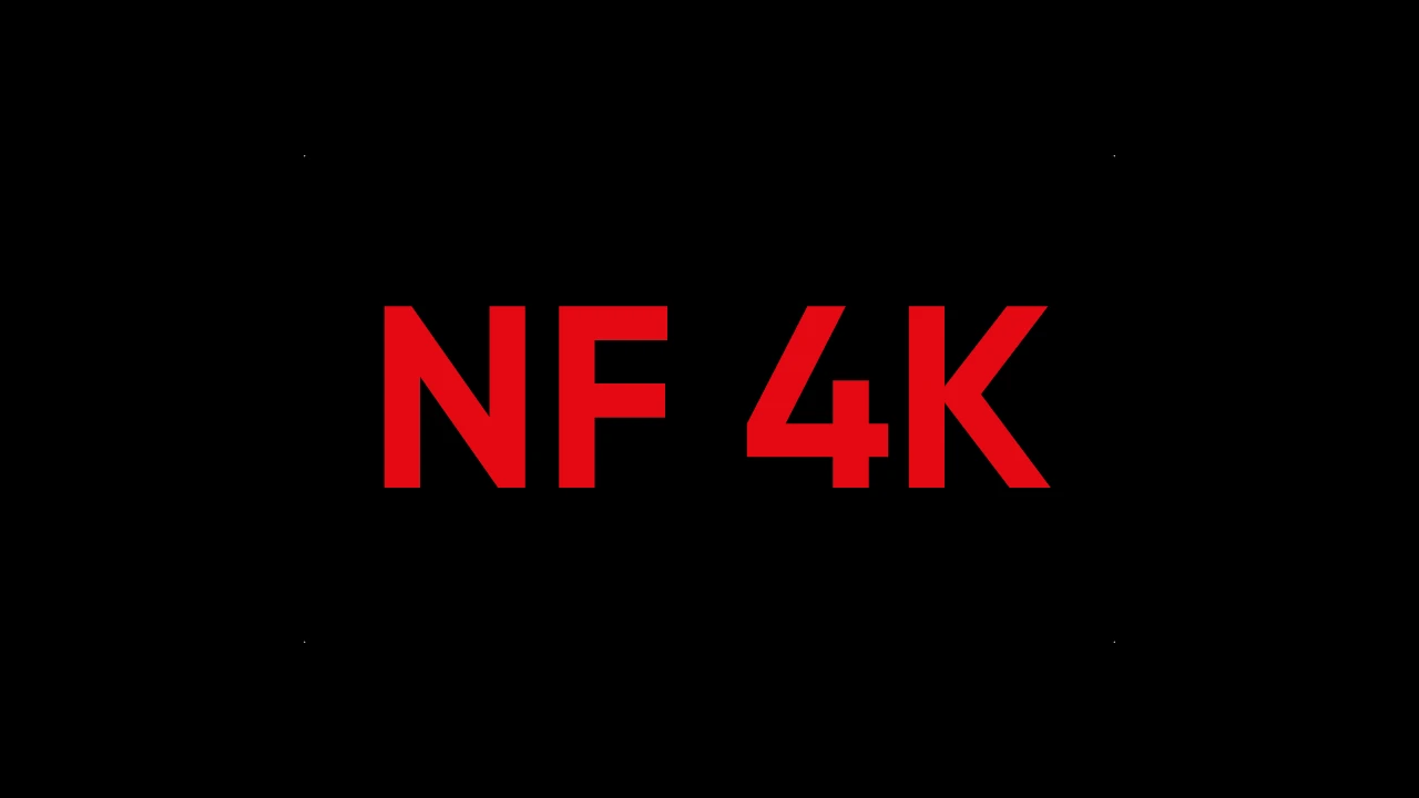 netflix abonnement